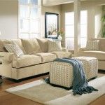 Nice cozy living room in beige color