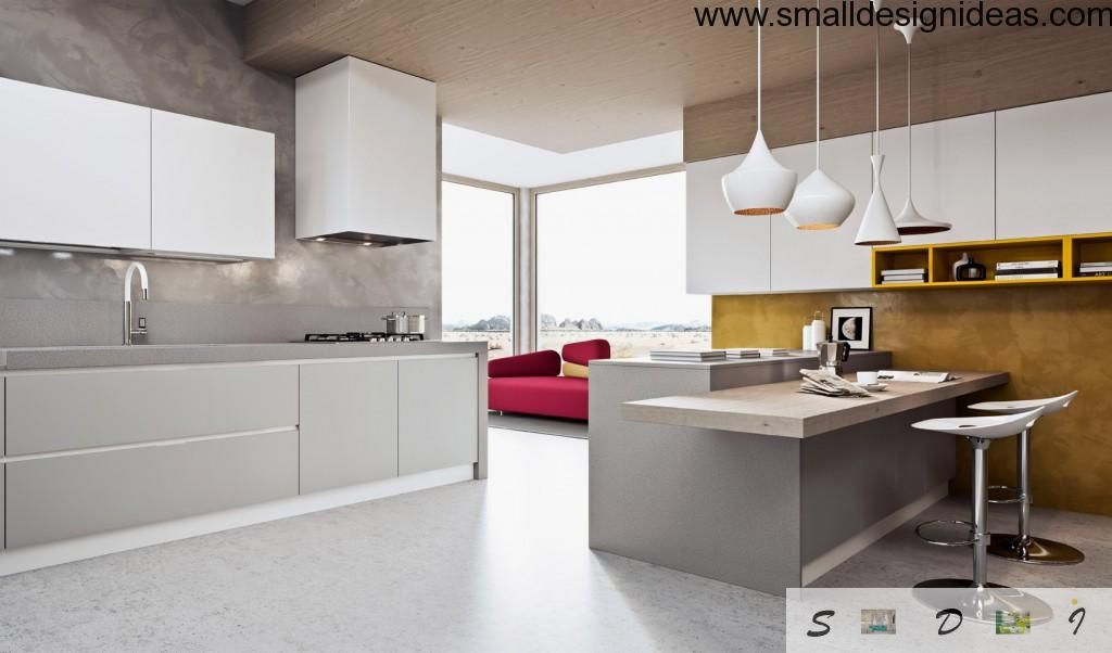 Nice convenient and advanced kitchen in minimalistic style