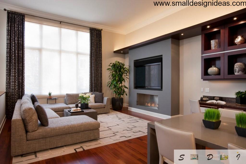 Natural environment of the living room with peculiar wall construction