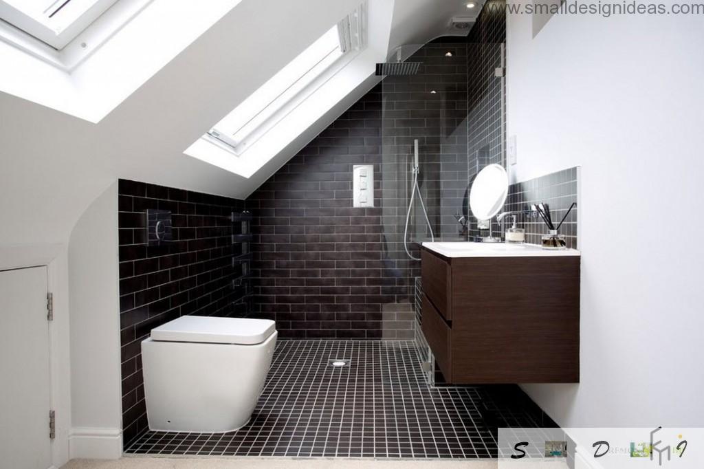 Vaulted ceiling at the bathroom with black wall and floor