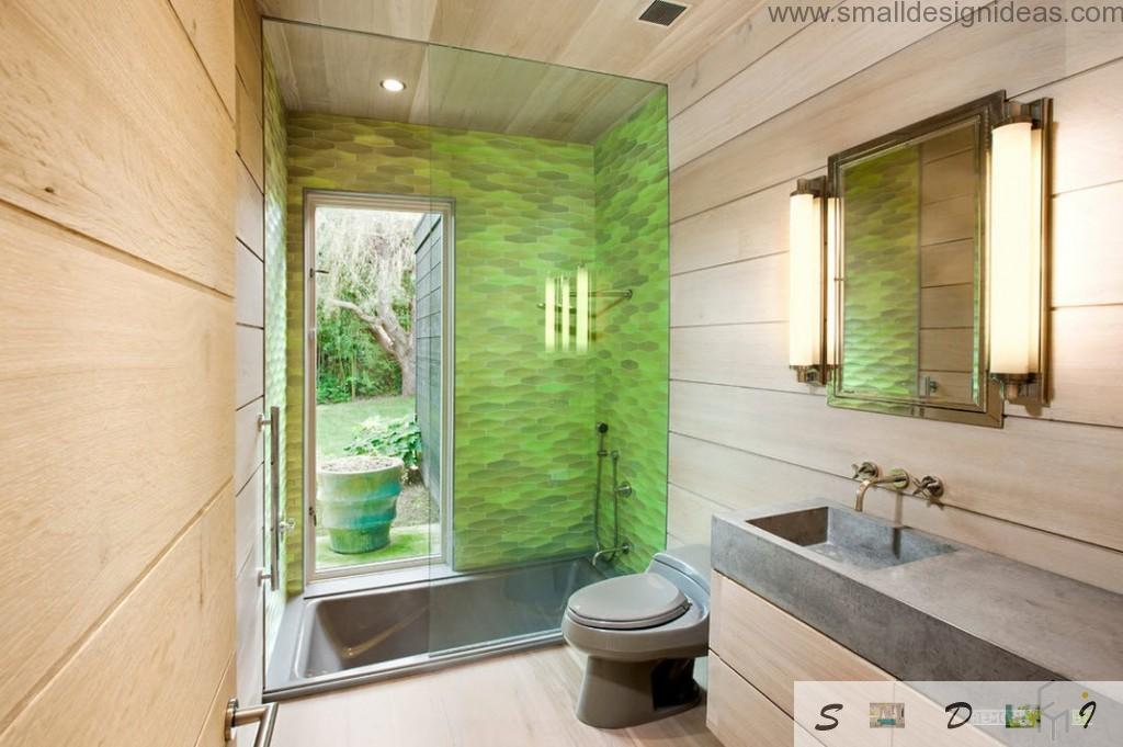 Modern Bathroom Design Ideas. Green decoration of the shower cubicle with glass partition and the door at the backyard