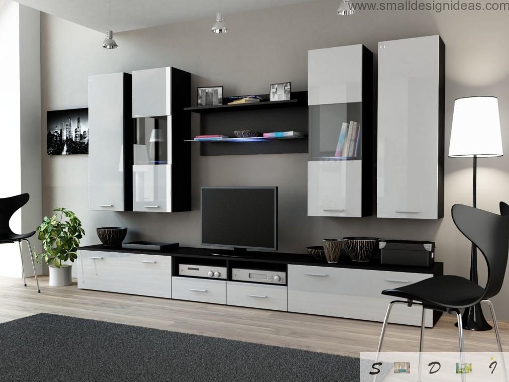 Black and white interior idea for the small but roomy living room