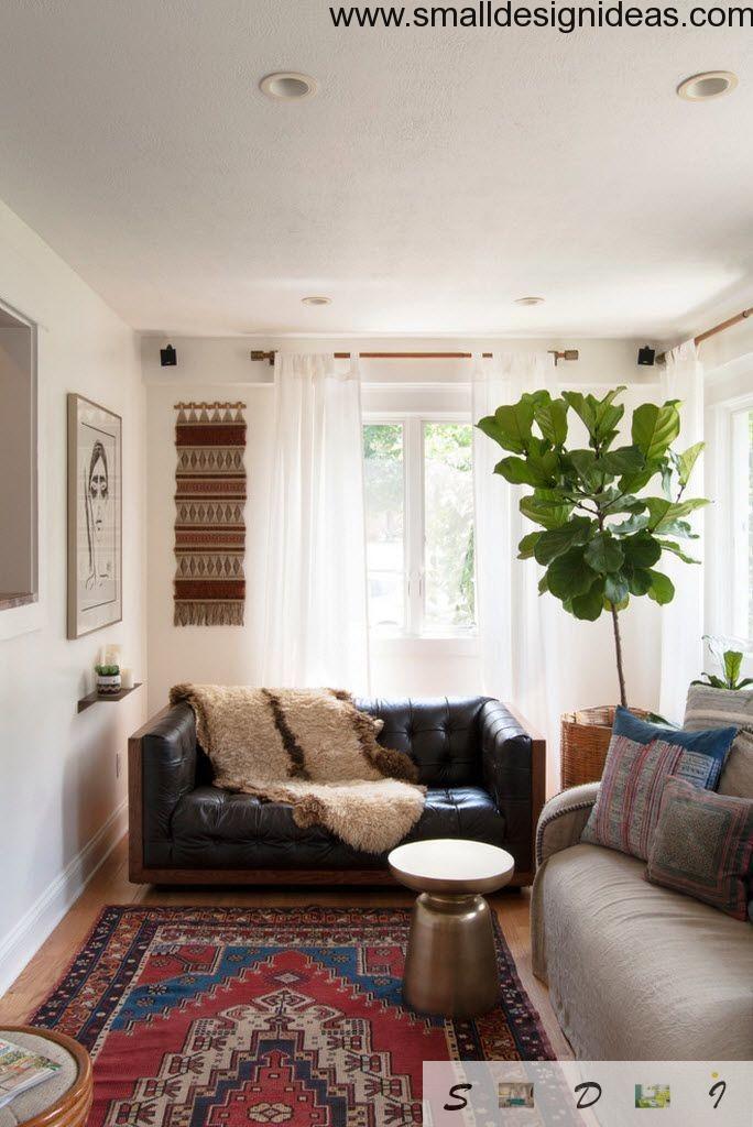 Big green plant in the eclectic interior of the living room