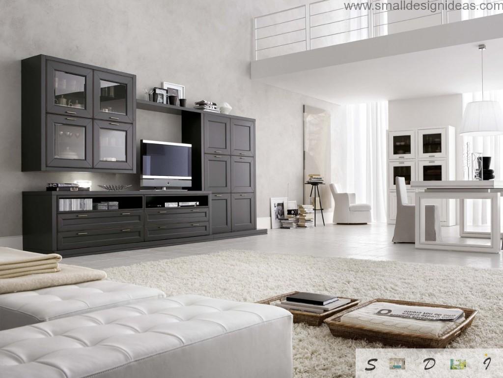 Black and white interior with the silver colored carpeting