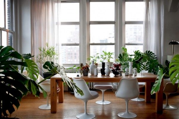 Green gallery for relaxing. Ecodesign Interior Design Style