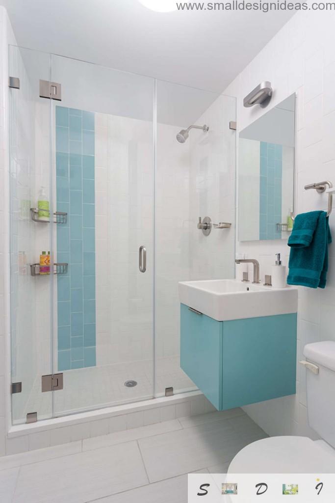 Extra Small  Bathroom  Design  Ideas 