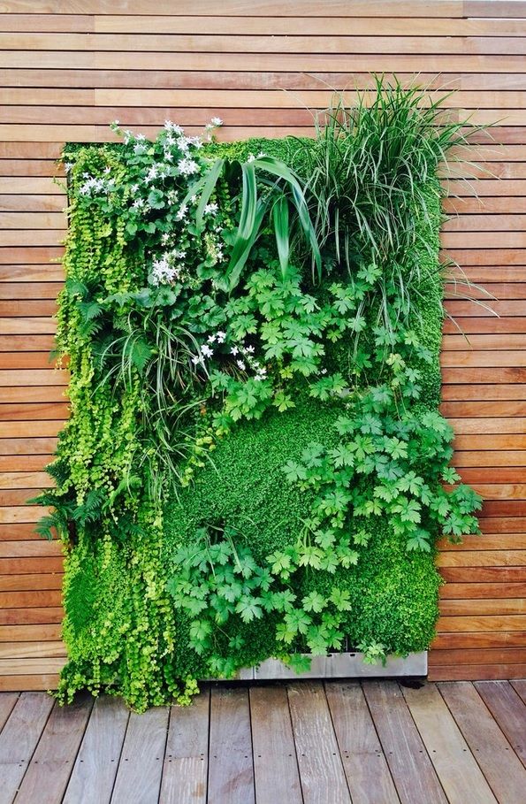 Plant Terrace Landscape Decoration Methods. Phytowall in the facade of the building