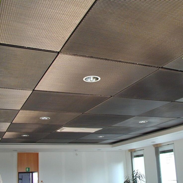 Dropped Ceiling Description Characteristics And Photos