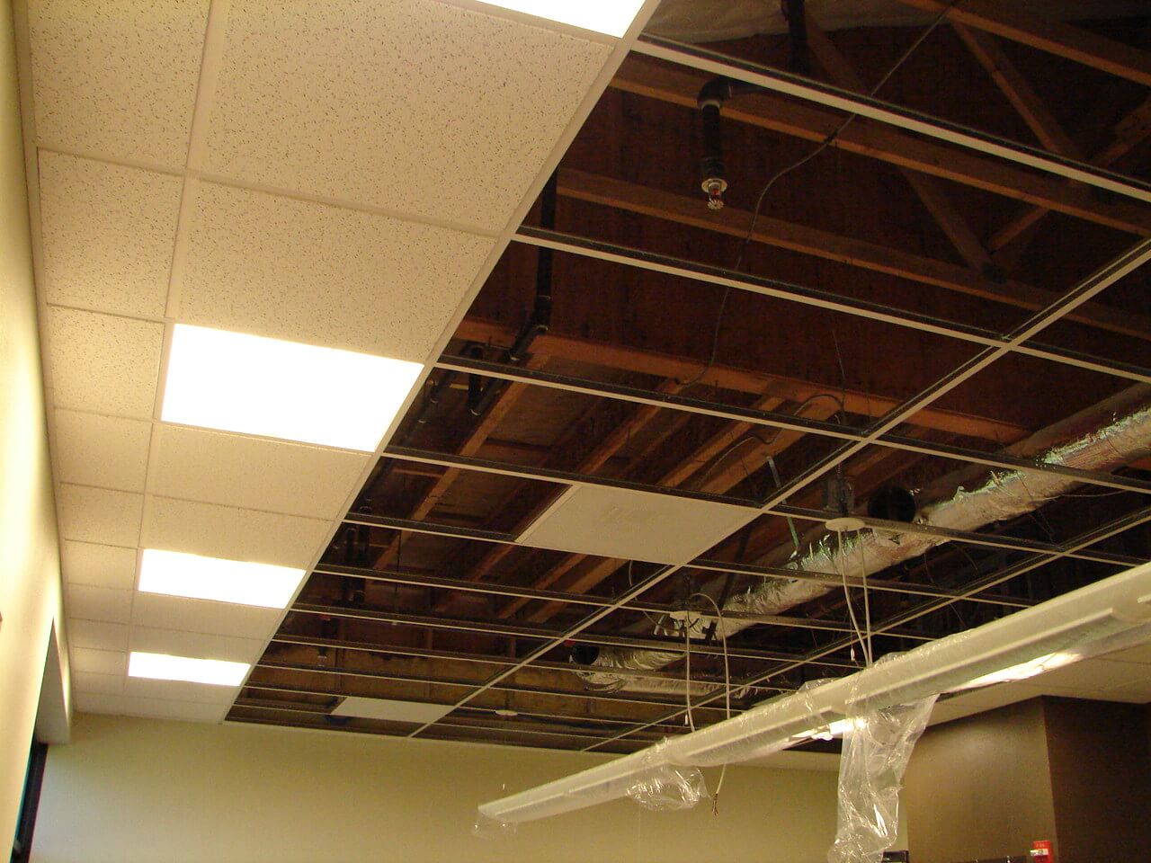 Dropped Ceiling  Description Characteristics and Photos