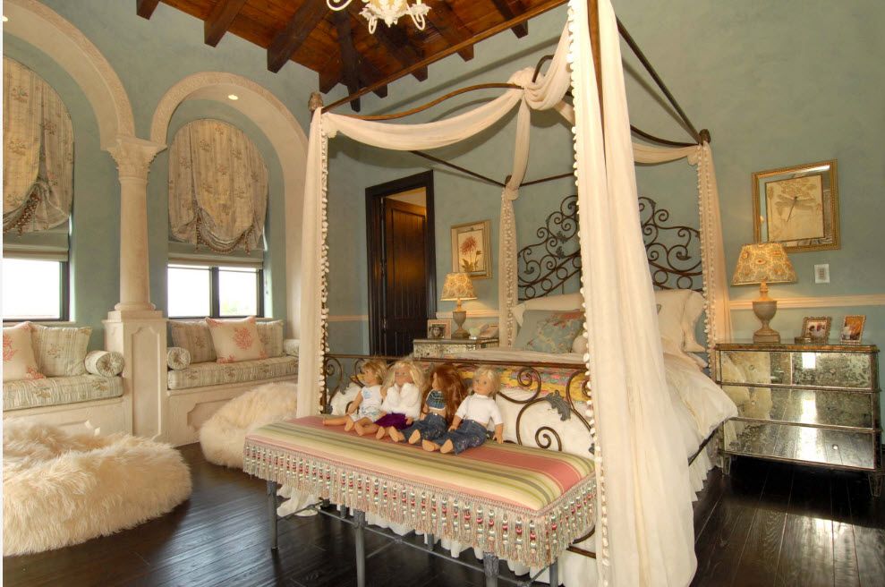 Nice grandeur classic interior with canopy bed
