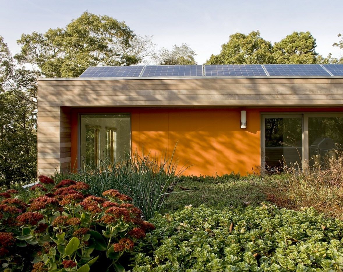 sun batteries at the roof and the garden in the backyard