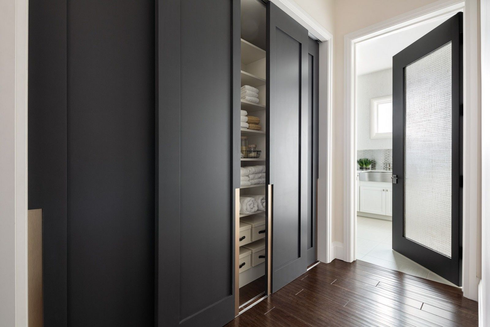 Modern Closet Types Variants For Hallway Interior With Photos