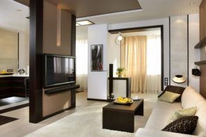 Fabulous idea of the central accent partition in the living room with TV-set