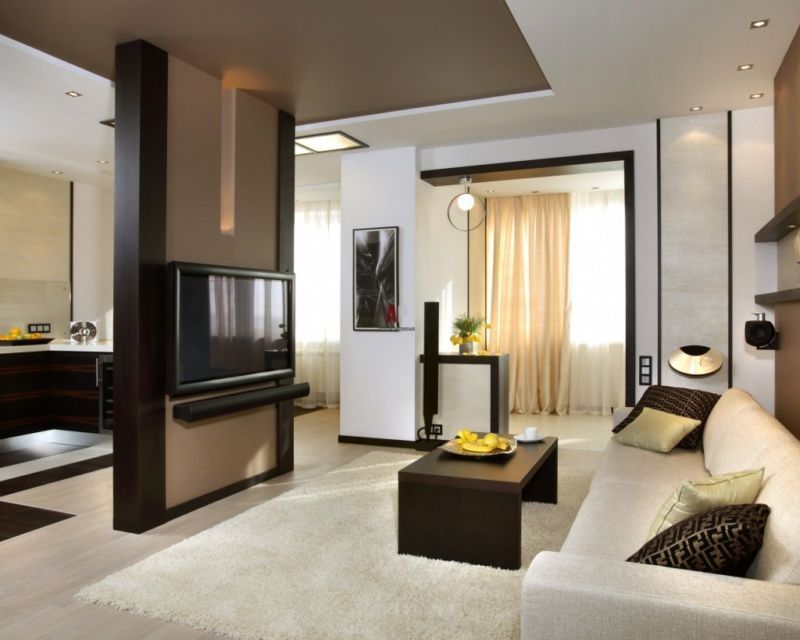 Fabulous idea of the central accent partition in the living room with TV-set