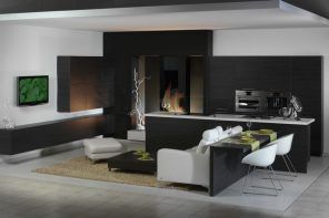 Black and white incredible intermixing in futuristic styled living room