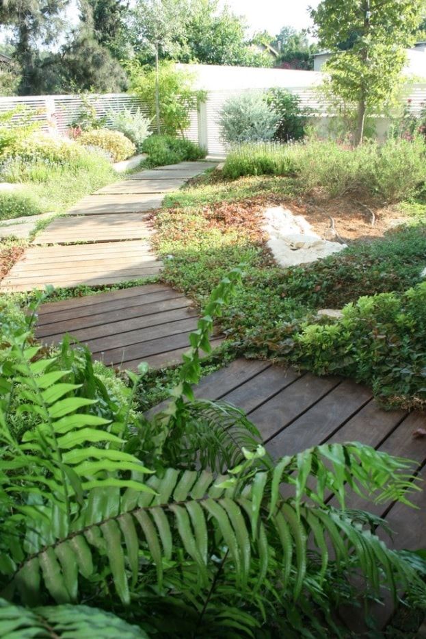 Garden with scattered wooden pallets