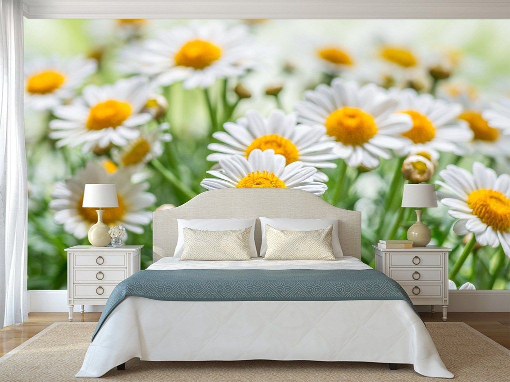 Сhamomile field for the calming atmosphere of the bedroom
