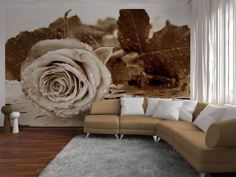 Rose picture in the living room