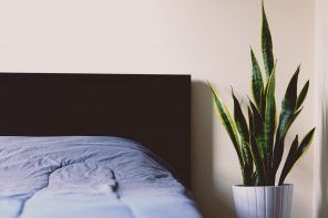 How Including Plants in the Bedroom Can Improve Sleep Quality. Plant in white vase next to the bed