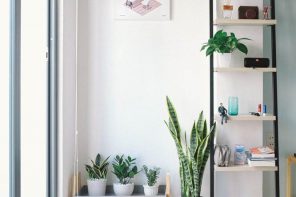 How to Design Your New Home before Moving. Great minimalistic interior in white full of plants