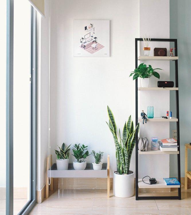 How to Design Your New Home before Moving. Great minimalistic interior in white full of plants