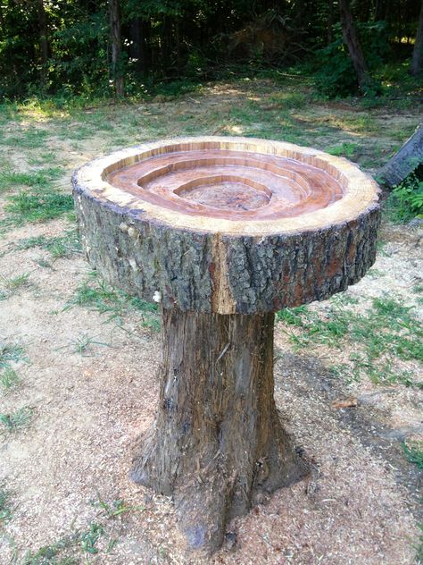 Great Ideas for Your Garden With Tree Stumps. Birdbath at the backyard