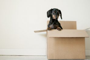 Moving to Your First Apartment? Tips on What You'll Need. Unboxing your things after moving