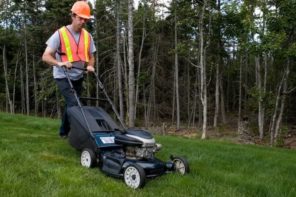 4 Reasons You Need to Hire a Professional Lawn Care Company For Your Yard. The worker at the lawn trimming