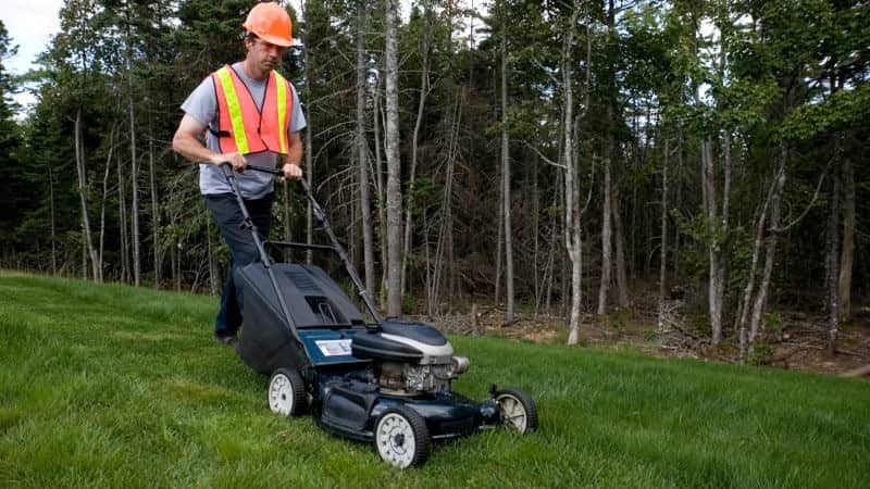 4 Reasons You Need to Hire a Professional Lawn Care Company For Your Yard. The worker at the lawn trimming