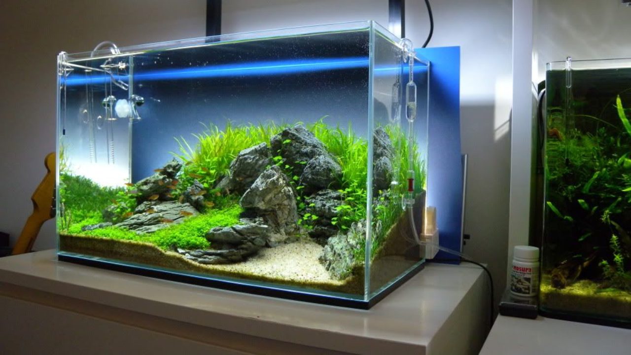 simple aquarium decoration