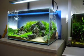 Modern designed aquarium for bedroom