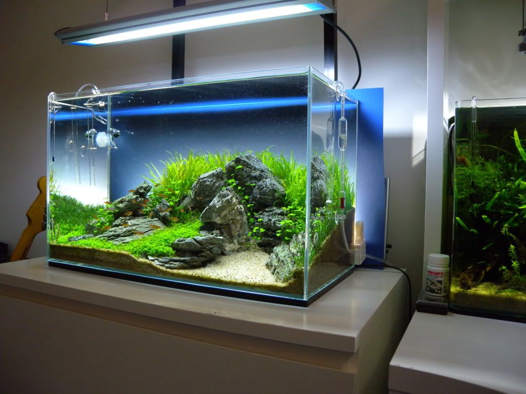 Modern designed aquarium for bedroom