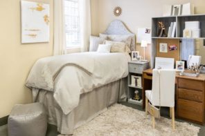 Five Ideas to Make Your Dorm Room Look Stylish and be Ergonomic
