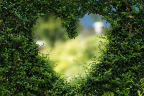 Wooded Magic: Tree Landscaping Ideas for Shabby Chic Backyards. Heart symbol sawn out of the bush