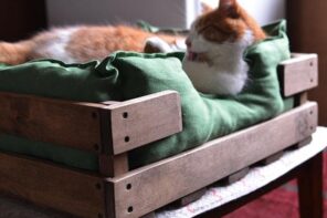 4 Pet-Friendly Interior Design Hacks to Keep You and Your Pooch Living Together in Harmony. The cot for a cat at the mudroom