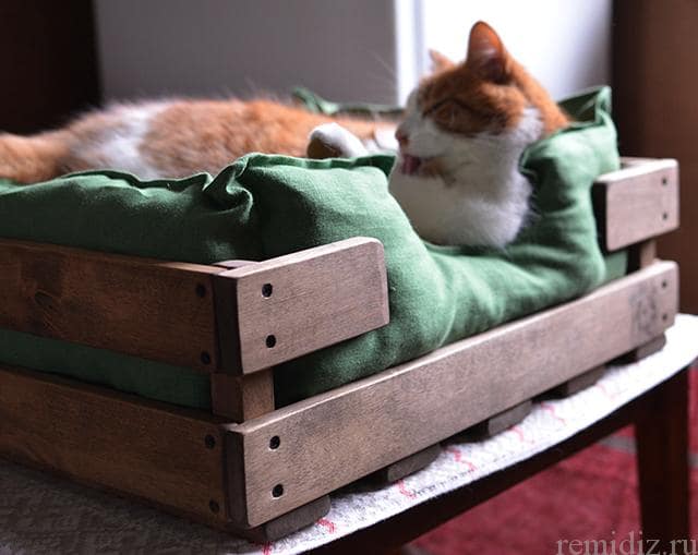 4 Pet-Friendly Interior Design Hacks to Keep You and Your Pooch Living Together in Harmony. The cot for a cat at the mudroom