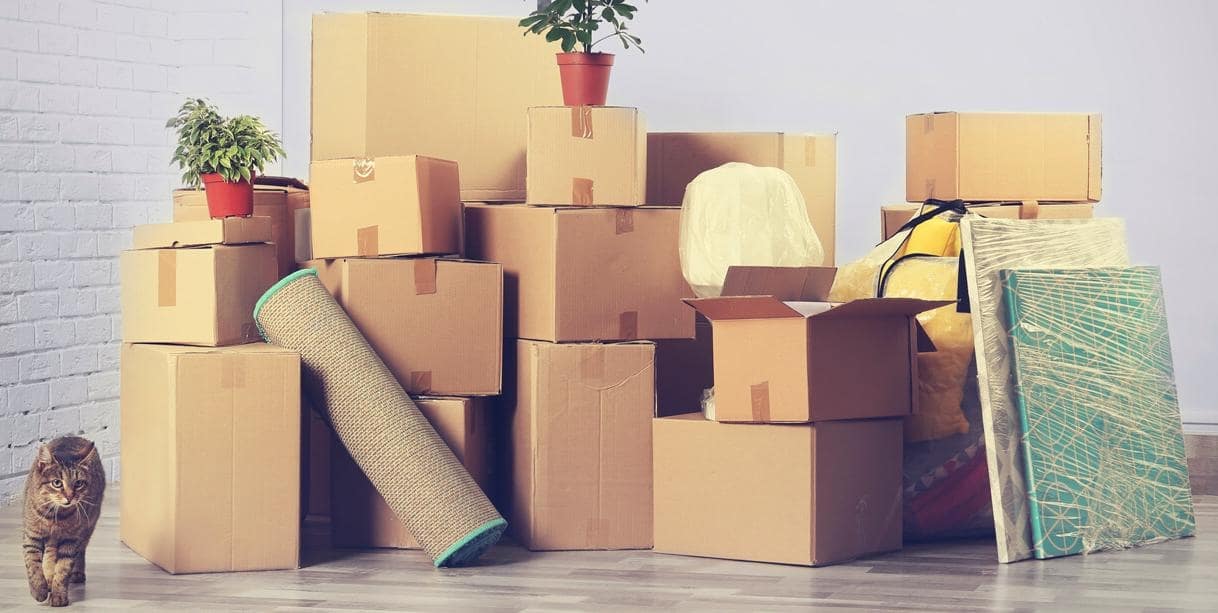 Long Distance Moving Companies