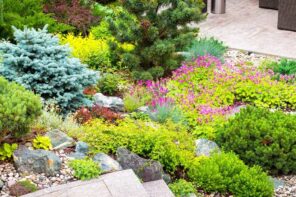 8 Landscaping Hacks To Make Your Backyard Look Bigger. Different types of trees and all palette of green with red inlays