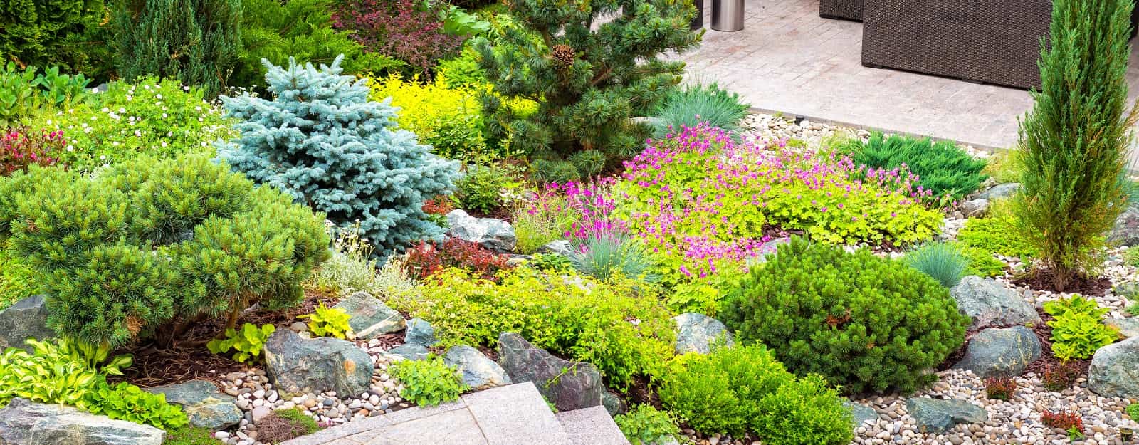 8 Landscaping Hacks To Make Your Backyard Look Bigger. Different types of trees and all palette of green with red inlays