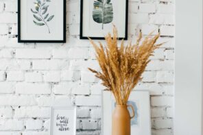 Guide to Choosing the Perfect Wall Art. Whitewashed wall with photo and plant decorations