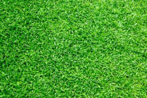 Handy Tips On How To Install And Maintain Artificial Grass In Your Yard. The green turf