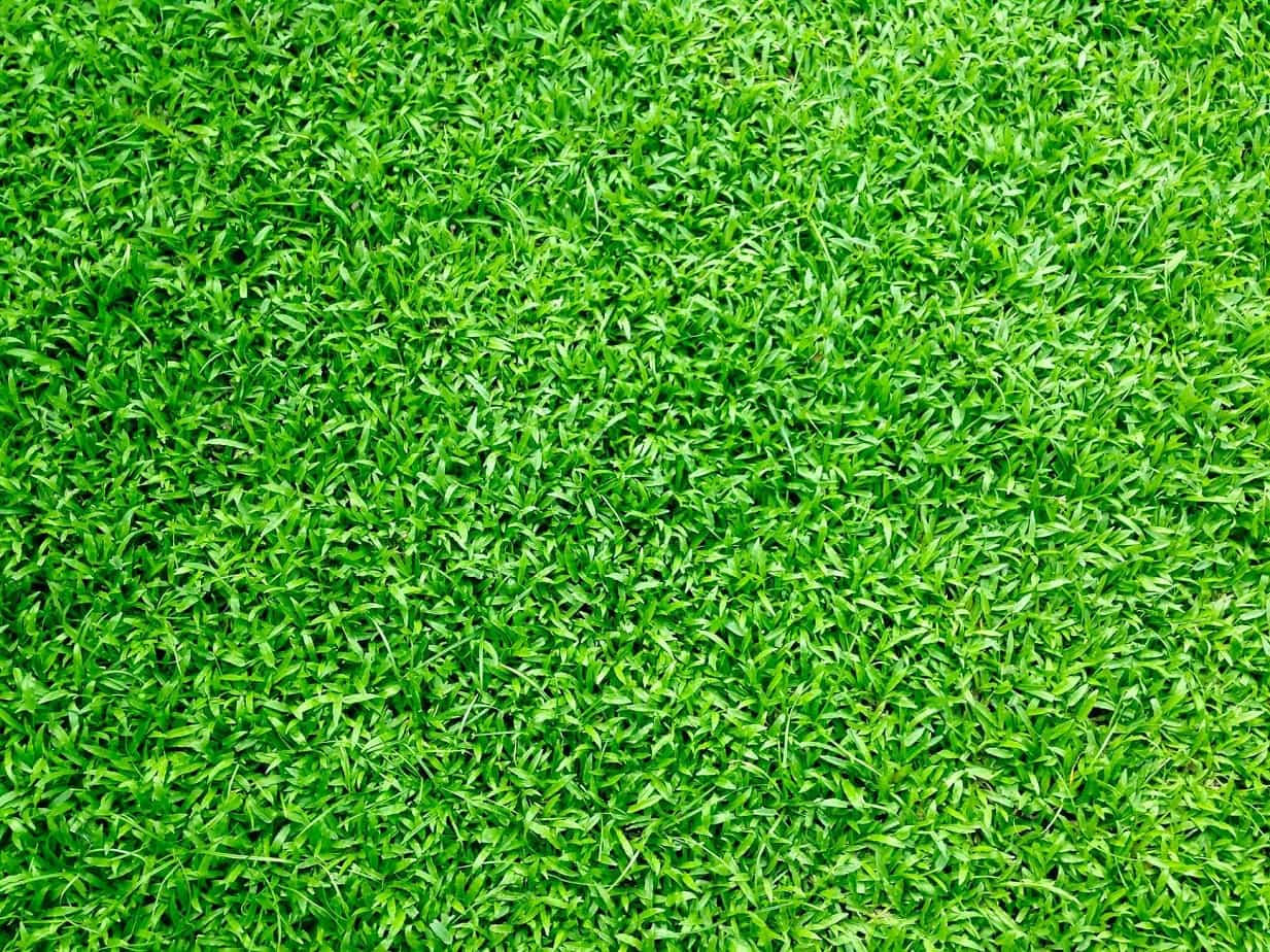 Handy Tips On How To Install And Maintain Artificial Grass In Your Yard. The green turf