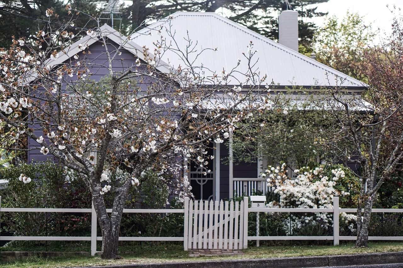 6 Benefits of Metal Roofing for Your Home. Small summer house with garden and purple siding