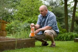 4 Ways Pest Control Can Help You Out. Anti-pest processing of the deck with aerosol