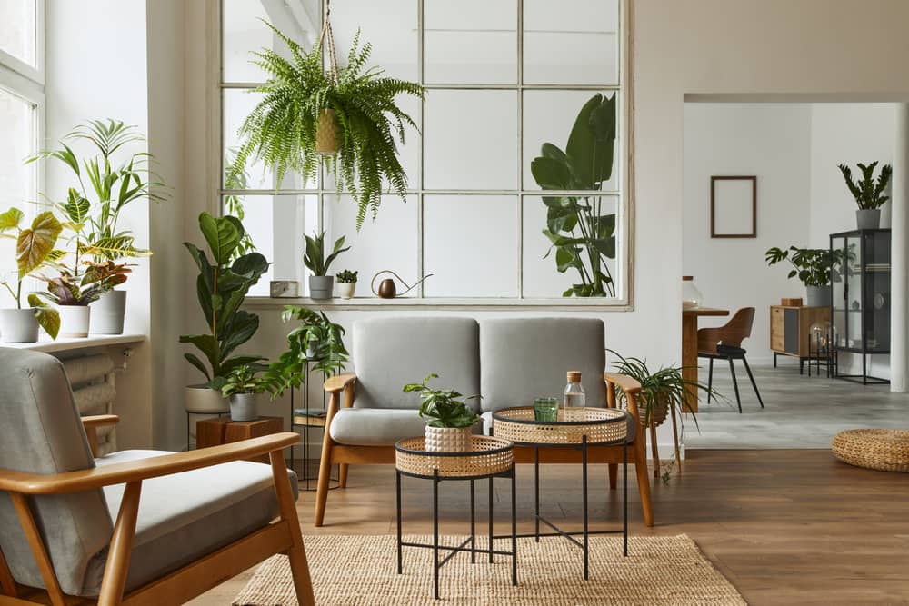 Small Ways to Make Your Interior Design More Sustainable. Great ecodesign interior with calming gray and natural green atmosphere