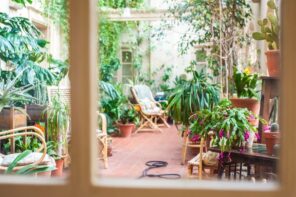 5 Nifty Hacks to Build a Garden in Your Tiny City Apartment. The full-fledged greenhouse in the classic interior