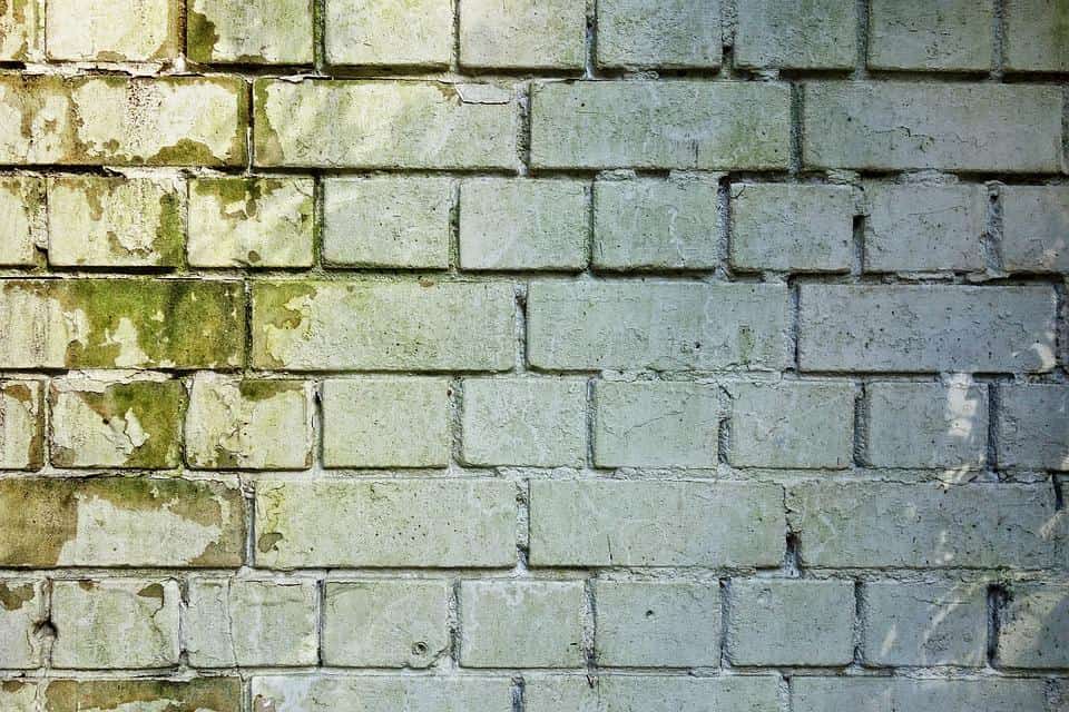 Useful Tips To Help You Deal With Mold The Right Way. The white brick wall stricken with mold