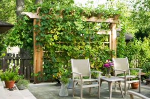 How To Get The Most Out Of A Small Garden. The vertical green wall on the wooden frame behind the leisure zone