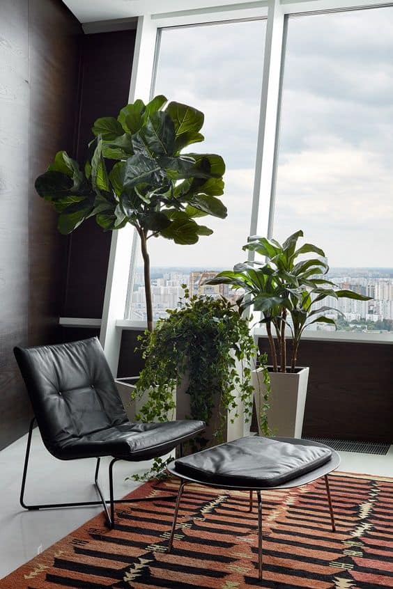 Tips on How You Can Reduce Humidity Level at Home. Tall plants in the interior of the city skyscraper